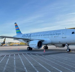 Airbus A319 von Braathens: Die Fluglinie muss aufgeben.
