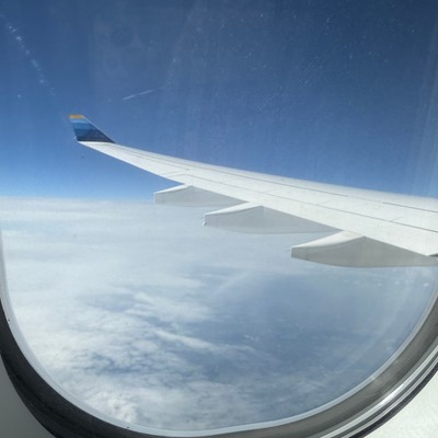 Blick aus dem Fenster: Discover Airlines fliegt mit AIrbus A330.