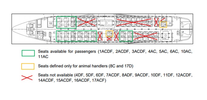 Die Anordnung der Käfige im Flugzeug.