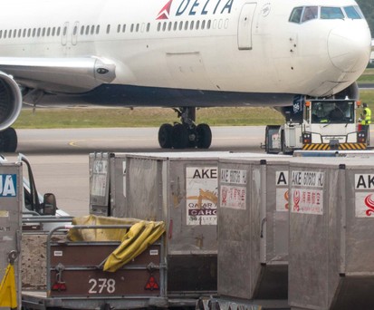 Frachtcontainer vor einer Boeing 767: Frachtkapazitäten brachen mit dem Wegfall von Passagierfliegern weg.