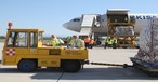 Flieger von Turkish Cargo in Linz: Spannendes Ziel für die Airline.