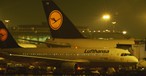 Jets von Lufthansa: Immer mehr bleiben am Boden.