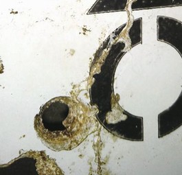 Trümmerteil von Flug MH370: Das Rätsel bleibt ein Rätsel.