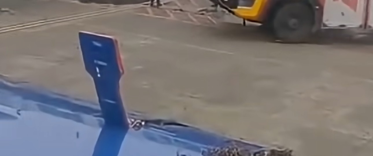 Bienenschwarm an der Frachttür: Der Flug konnte am 7. Juli erst eine Stunde später starten.