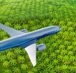 Boeing 787 über Plamölplantage (Montage): Indonesien macht Druck.