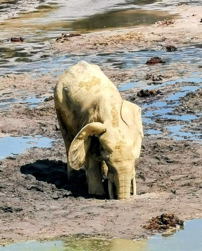 Er gräbt nach mineralischen Stoffen im Boden