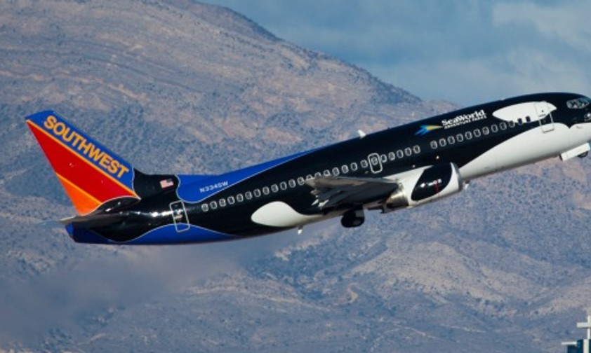 Bereits mehrere Airlines haben dem Druck von Tierschützern nachgegeben und beendeten ihre Zusammenarbeit mit Sea World
