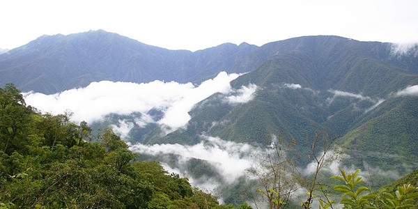 Los Yungas in Bolivien: Ecojet soll die wichtigsten Ziele des Landes anfliegen.