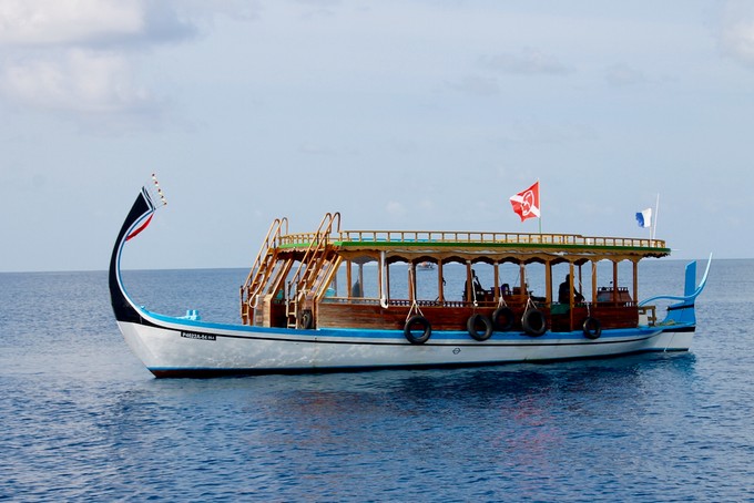 Mit solchen Booten geht es auf zur Sea Safari