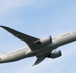 Boeing 787-8 in der Luft: Der 17. jemals gebaute Dreamliner wurde nach nur wenigen Flügen zerlegt.