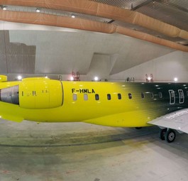 Das Flugzeug könnte von der Lackierung BVB-Fans glücklich machen.