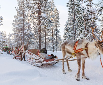 Unter den leuchtenden Himmeln Finnlands: Ein einzigartiger Winterurlaub im hohen Norden