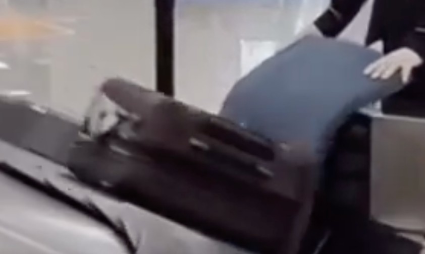 Ein Kissen für den Koffer: Luxus für Gepäckstücke.