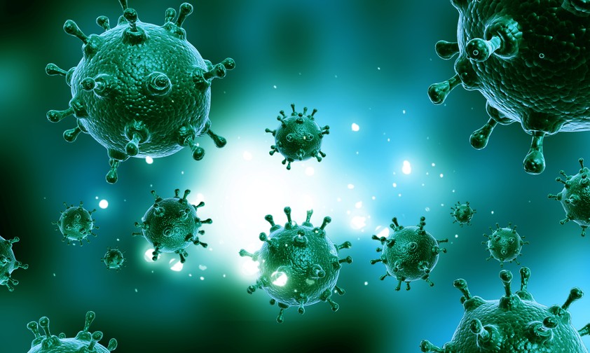 Influenza-Virus: Auf der Pilgerreise stecken sich viele an.