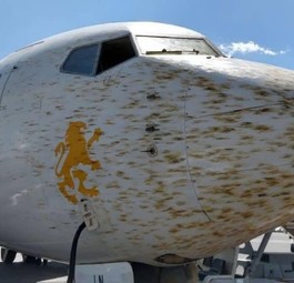 Die getroffene Boeing 737 von Ethiopian Airlines: Spuren von Zusammenstößen.