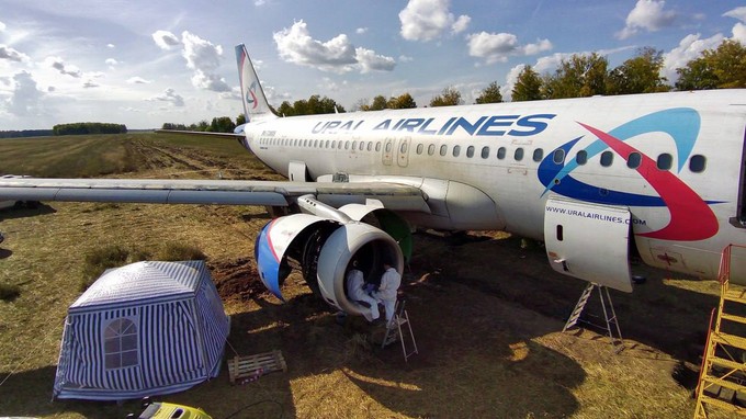 Der Flieger auf dem Feld: Die Triebwerke sind intakt.