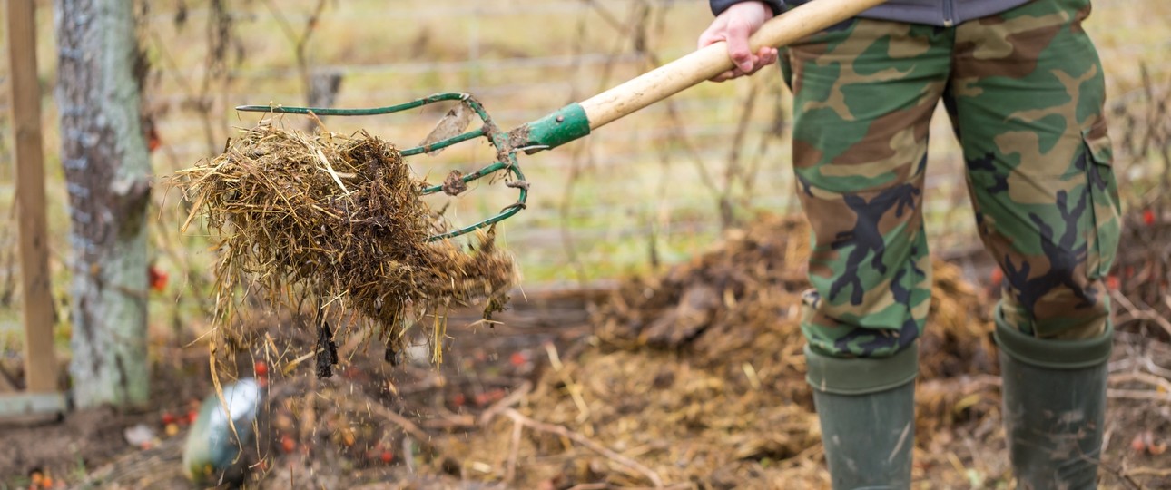 Landwirt mit einer Gabel Gülle: Künftig soll auch aus Gülle und Stroh Kerosin gewonnen werden.