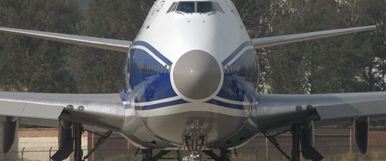 Boeing 747 von Air Bridge Cargo: Schweine an Bord.