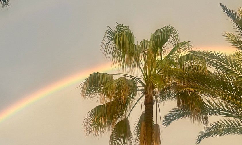 Palmen sehen: Urlaub zu machen, wird immer teurer. 
