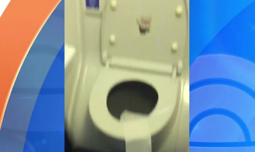 So viel Kraft hat eine Flugzeugtoilette