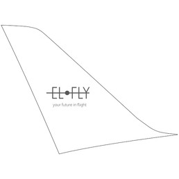 ticker elfly group