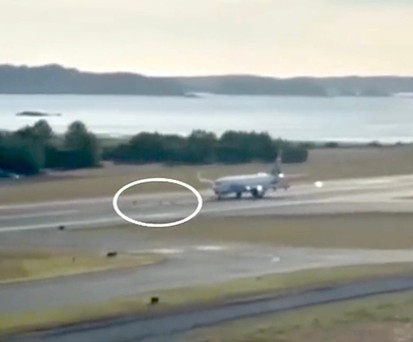 Der Moment des Zusammenpralls: Zwei Rehe standen auf der Piste des Flughafens Kodiak.