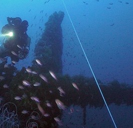 Das Leitwerk: Überwachsen mit Seegras und Muscheln.