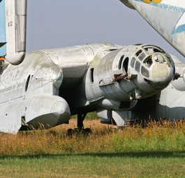 Bartini Beriev VVA-14: Nur der erste Prototyp konnte tatsächlich fliegen.