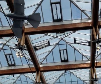 Diese Drohne fliegt wie ein Vogel