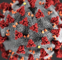 The virus that causes Covid-19: More deaths than Sars.