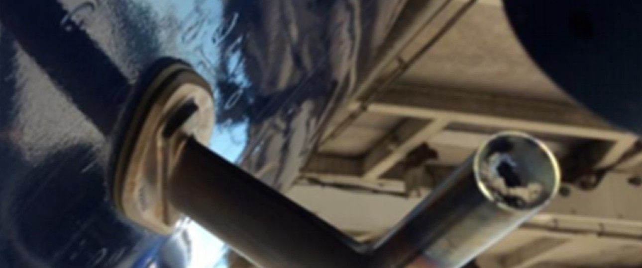 Wespennest am British-Airways-Flieger: Der Befall führt zu falschen Rückmeldungen der Instrumente.
