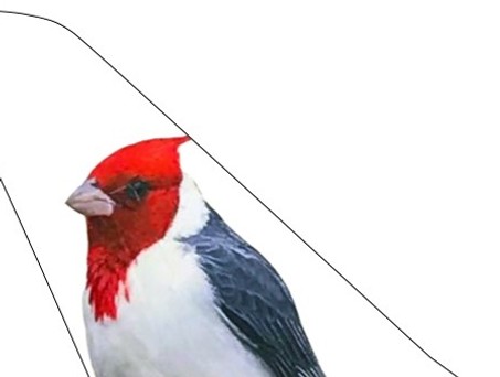 ticker-jetsmart
