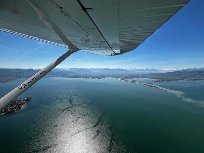 Der Bodensee im Hintergrund die Schweizer Alpen.