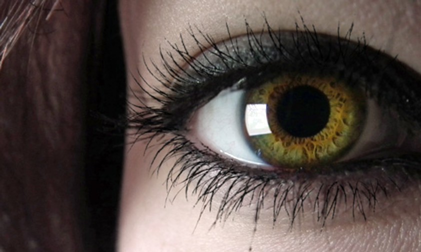 Augen: Wer sie scannen lässt, kann schneller einsteigen