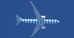 D-ANRB: So wird sie am schon bald wieder zu sehen sein.