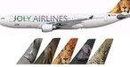 So sollen die Flieger von Joly aussehen - und Afrika widerspiegeln.