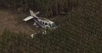Die abgestürzte Beechcraft im Maisfeld: Alle vier Personen haben überlebt.
