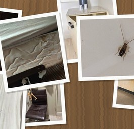 Fotos aus dem Crewhotel in Miami: Nicht, was man sehen möchte.