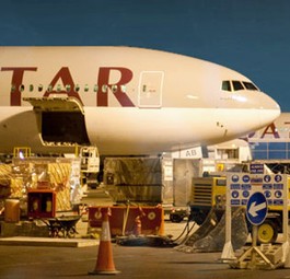 B777 von Qatar: Attraktives Mitglied.