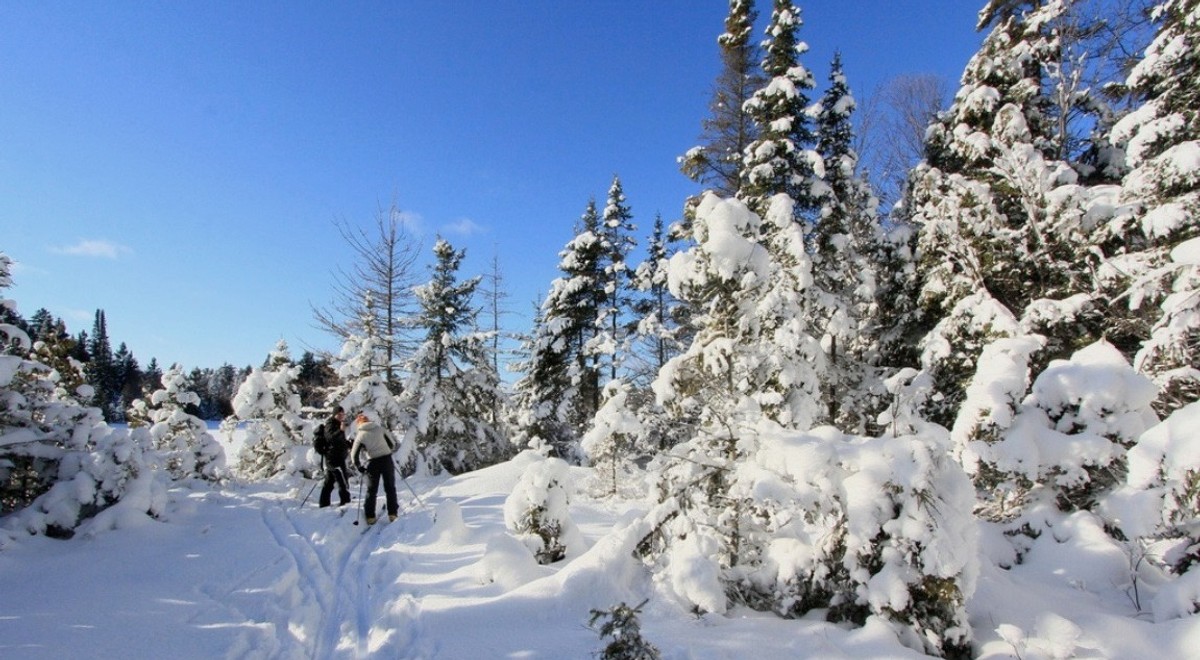 Langlaufparadies Algonquin Nationalpark