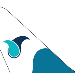 ticker yazd airlines