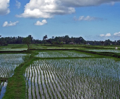 9. Rang: Indonesien, 53,7 Millionen Passagiere 2011, Wachstum 11 Prozent - Resifeld.