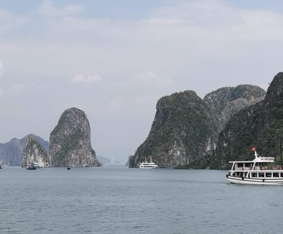 Mit tropischem Wald bedeckte Kalkberge in der Halong Bucht.
