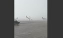 Sturm am Flughafen Forli: Flugzeuge umgedreht.