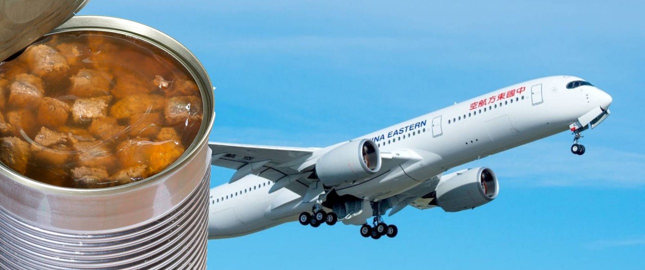 Ein Airbus A350 von China Eastern: Als Vorspeise gab es etwas ganz besonderes – zumindest auf dem Papier.