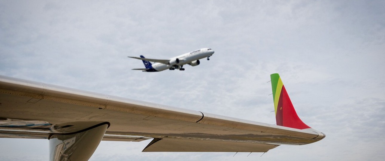 Flügel von Tap und Flugzeug von Lufthansa: Passen sie zusammen?