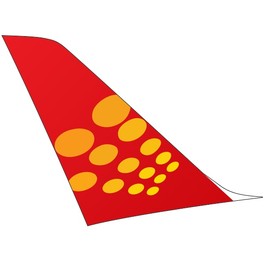 Spicejet darf wegen Sicherheitsbedenken nur die Hälfte der angemeldeten Flüge durchführen