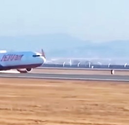 Der Flughafen Muan hat ein Vogelschlag-Problem