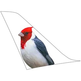 ticker-jetsmart