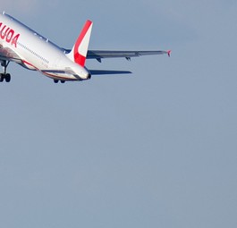 Airbus A320 von Lauda: Wird es künftig nicht mehr geben.